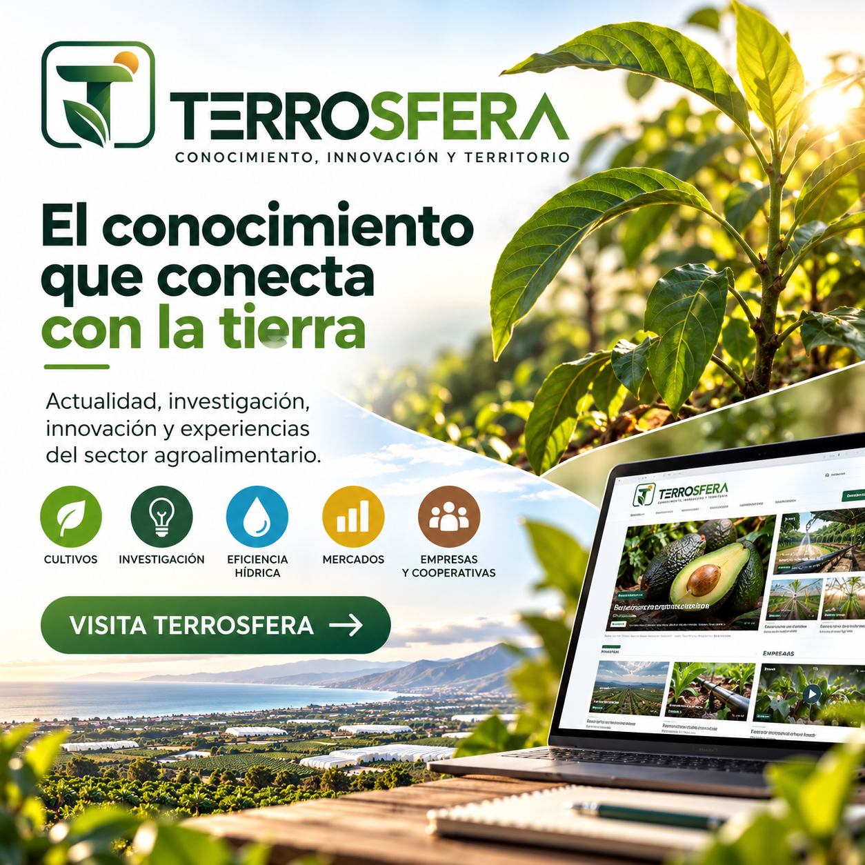 Terrosfera